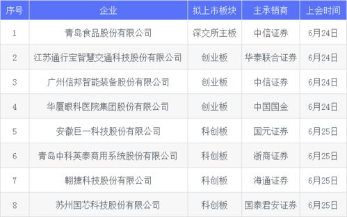 国芯科技 这家坐拥国家电网 中科院等大客户的国产cpu厂商要上会了